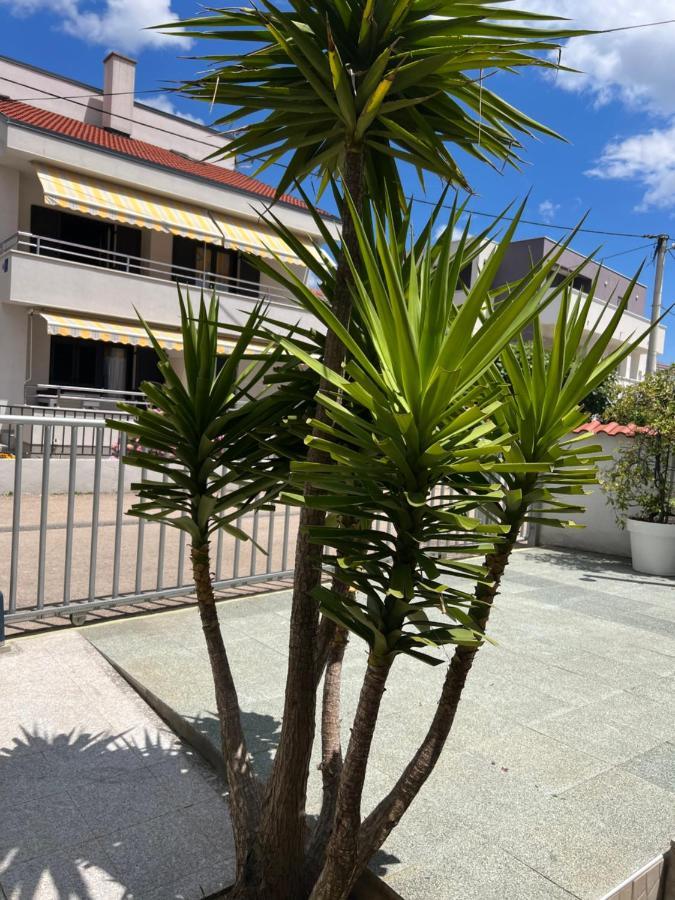 Apartments Lili Flora Ζαντάρ Εξωτερικό φωτογραφία