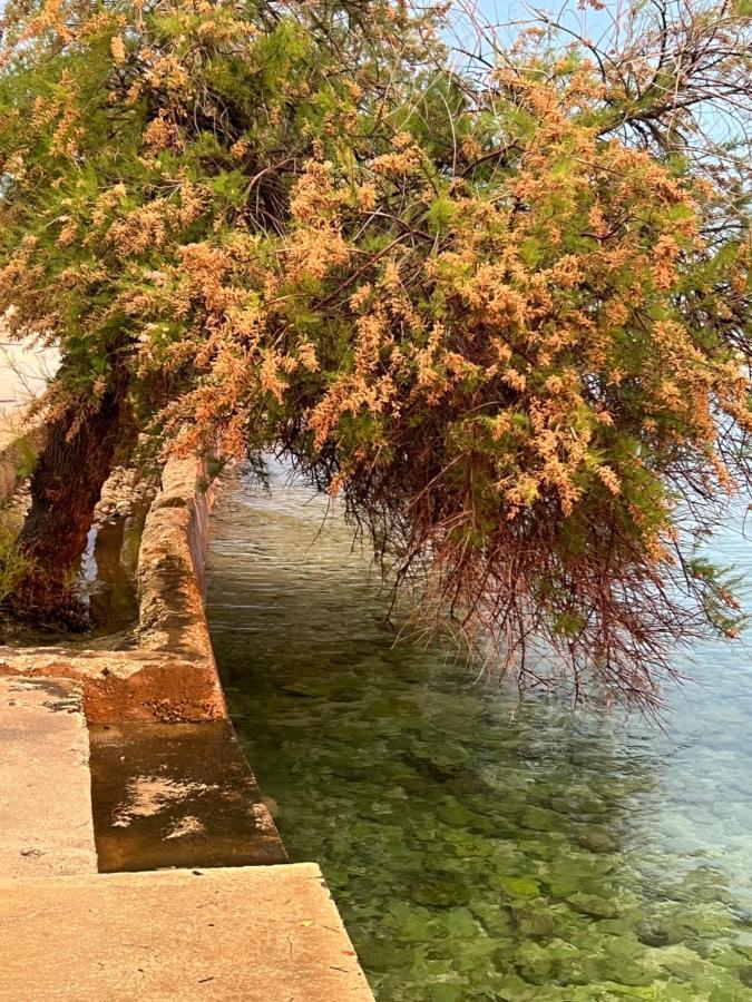 Apartments Lili Flora Ζαντάρ Εξωτερικό φωτογραφία